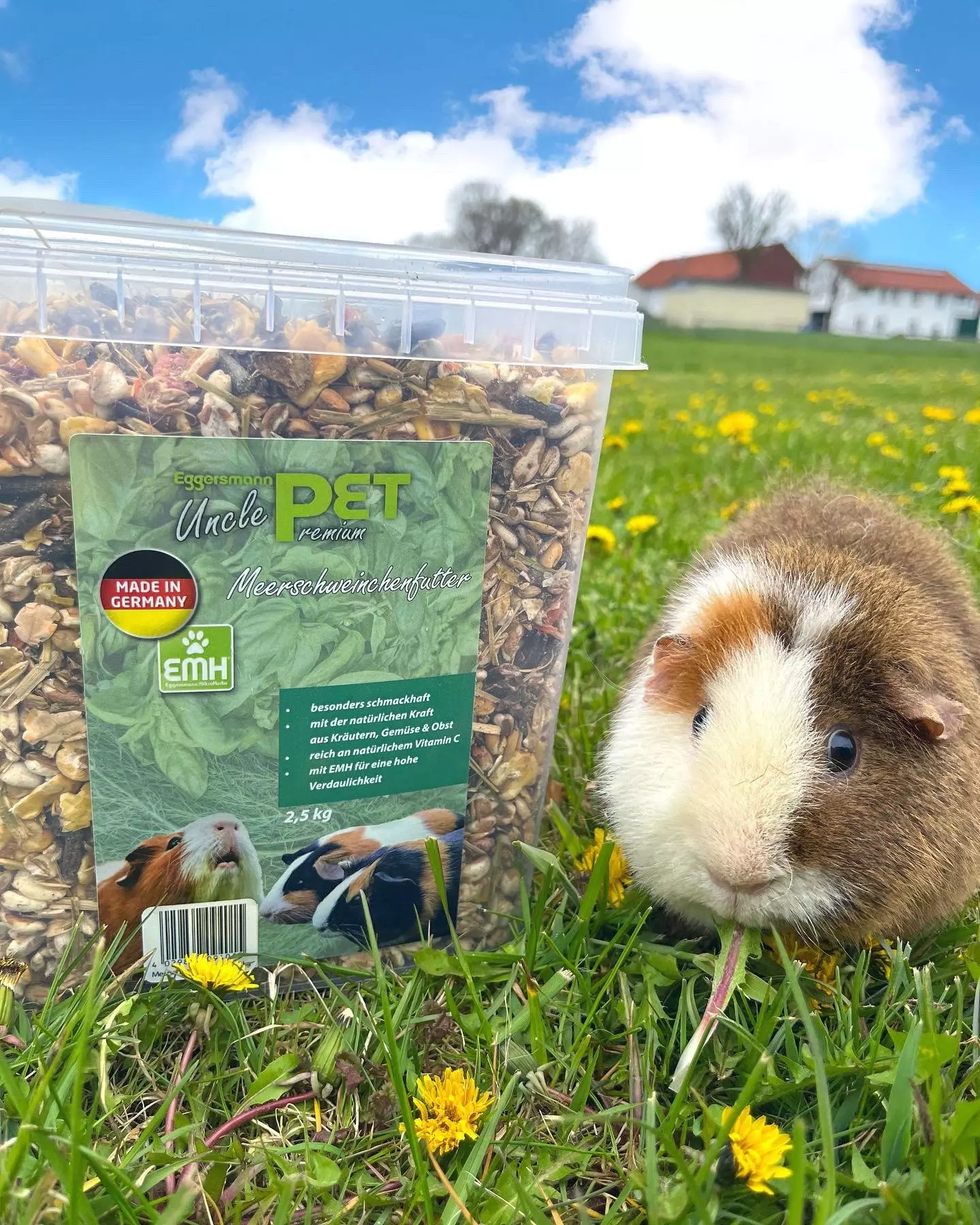 EMH-Meerschweinchenfutter-3
