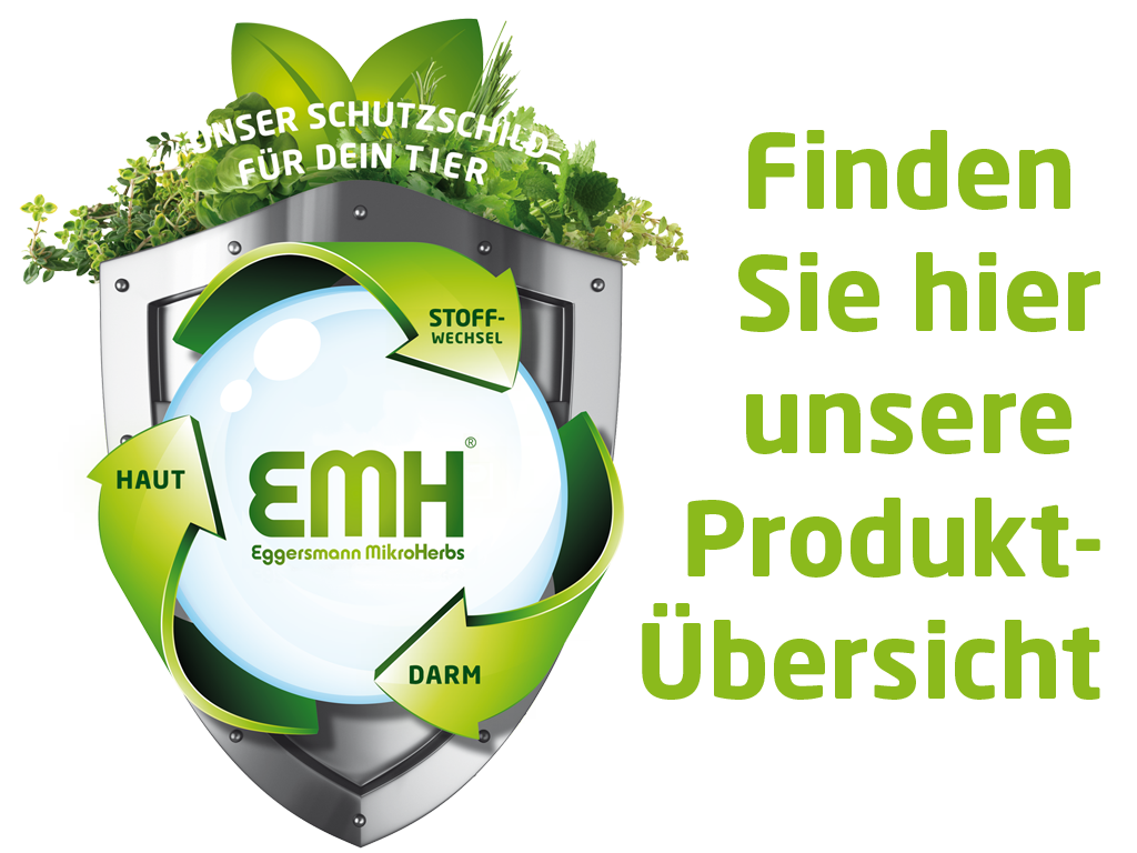 EMH-Produktuebersicht