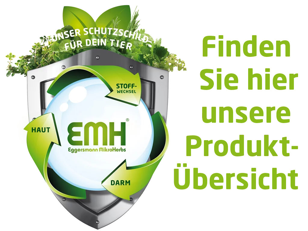 EMH-Produktuebersicht