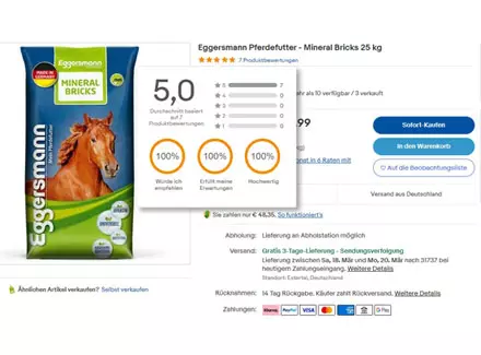 ebay-Produktbewertung