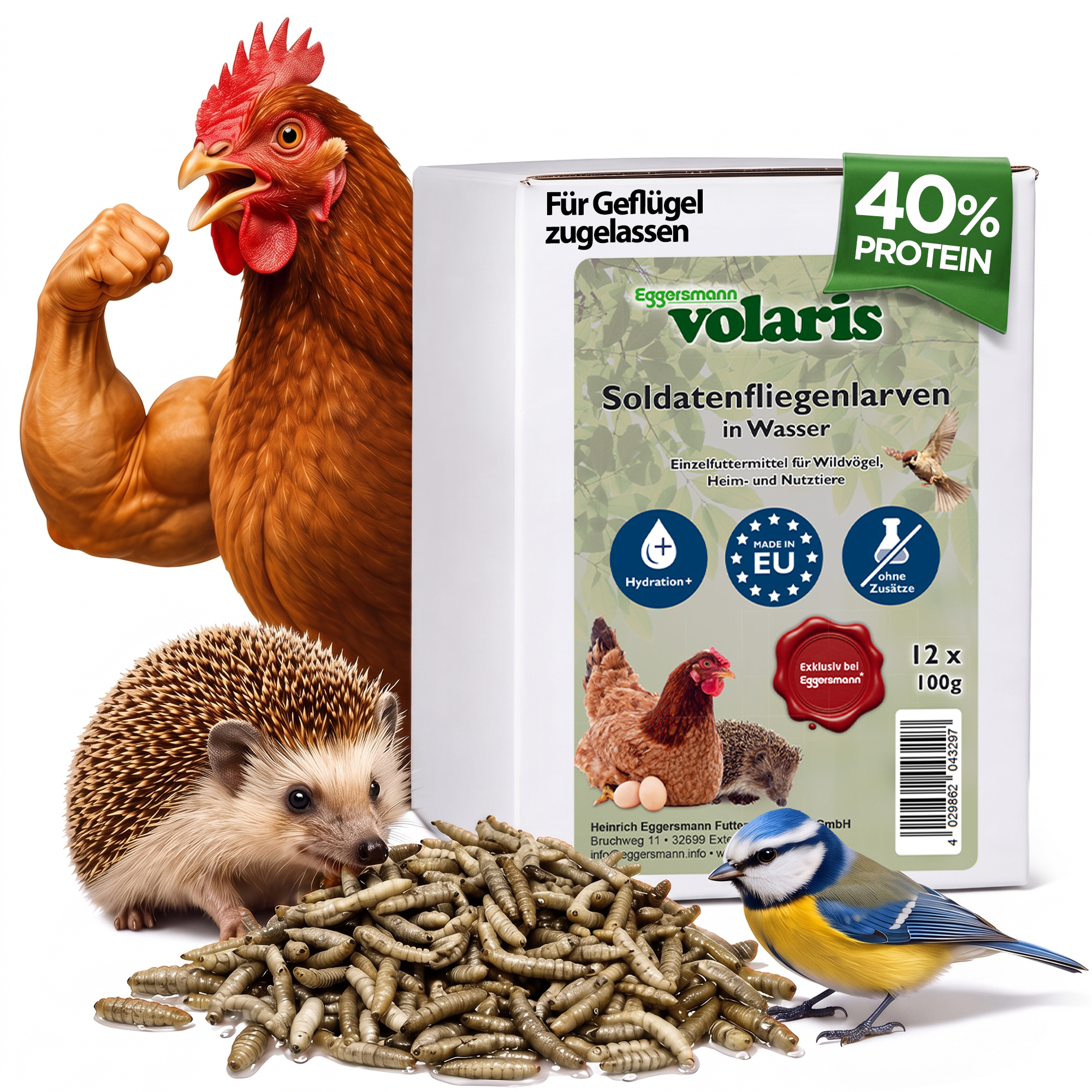 volaris - Soldatenfliegenlarven in Wasser 12x100g im Tray