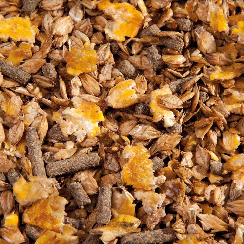 3005_300_EMH_CLASSIC_MUESLI_DETAIL