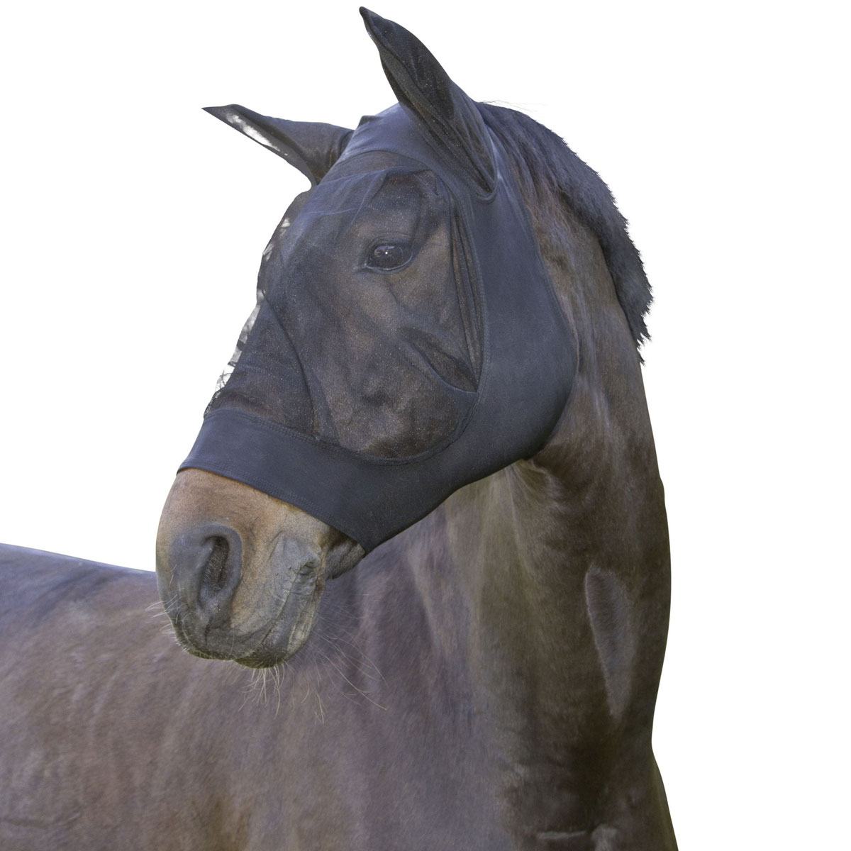 9995_041_COVALLIERO_FLIEGENSCHUTZMASKE_FINOSTRETCH_SCHWARZ_F