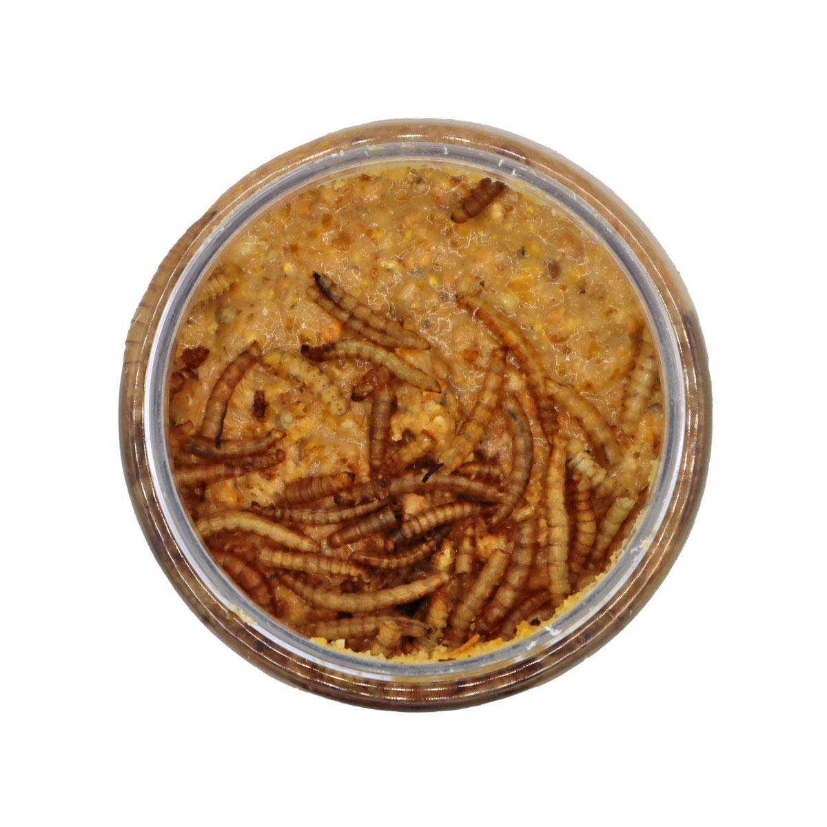 Volaris - Erdnussbutter mit Insekten 3 x 350 g Dose