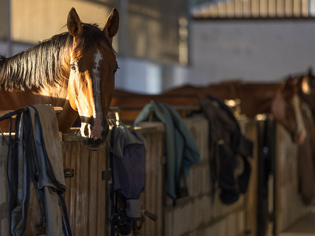 Start of stable season