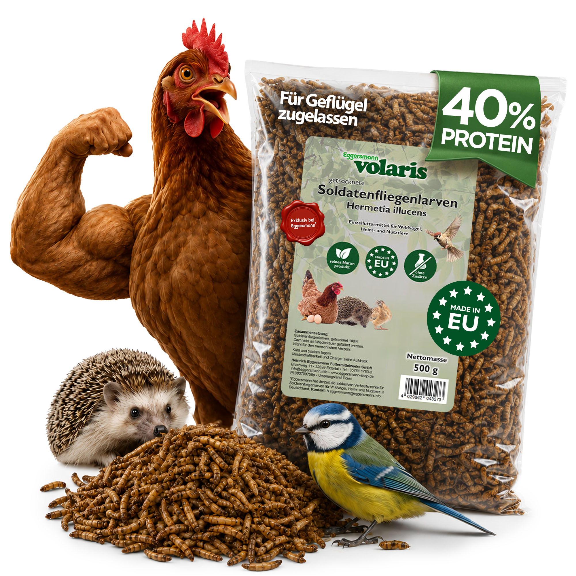 volaris – Black Soldier Fly Larvae 500g