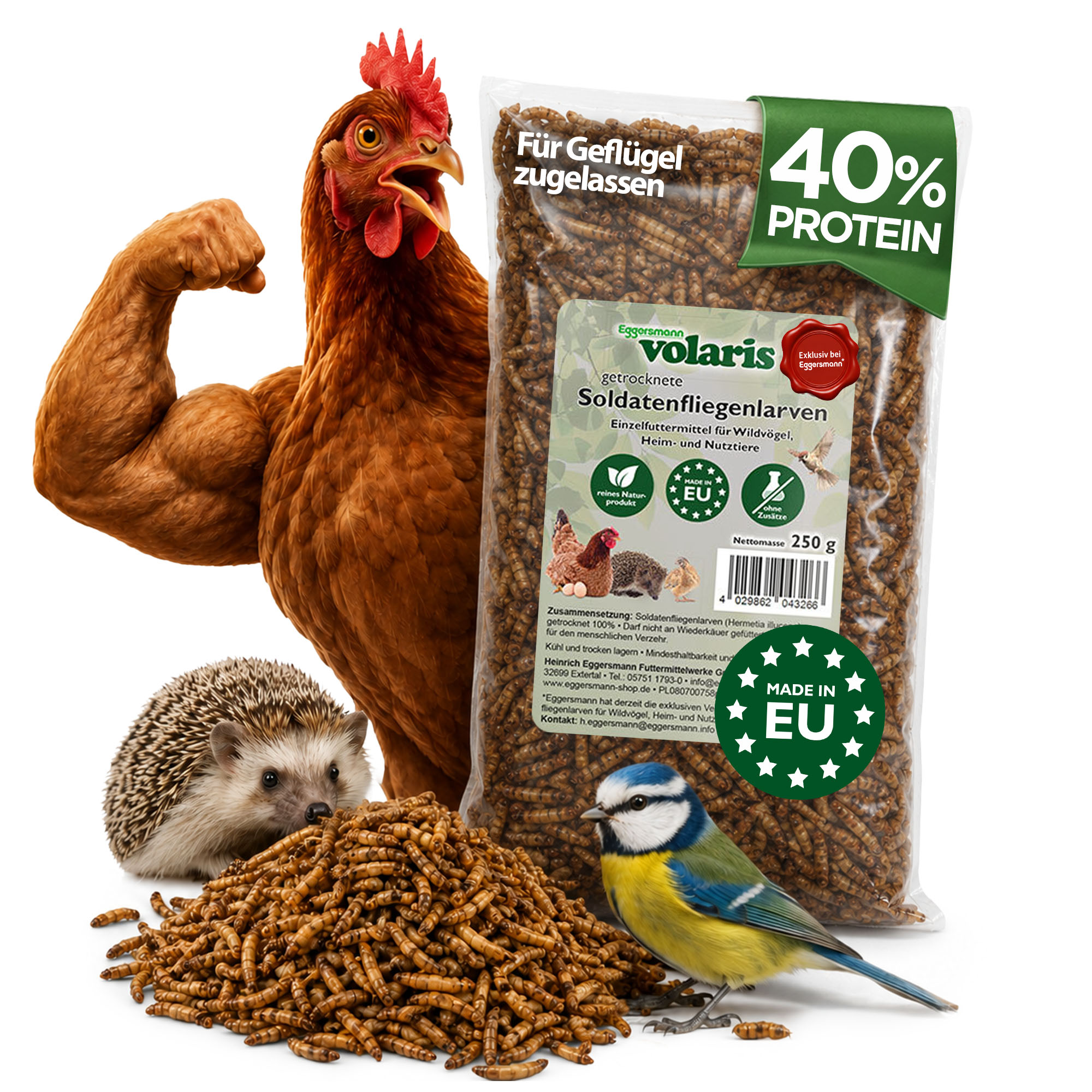 volaris – Black Soldier Fly Larvae 250g