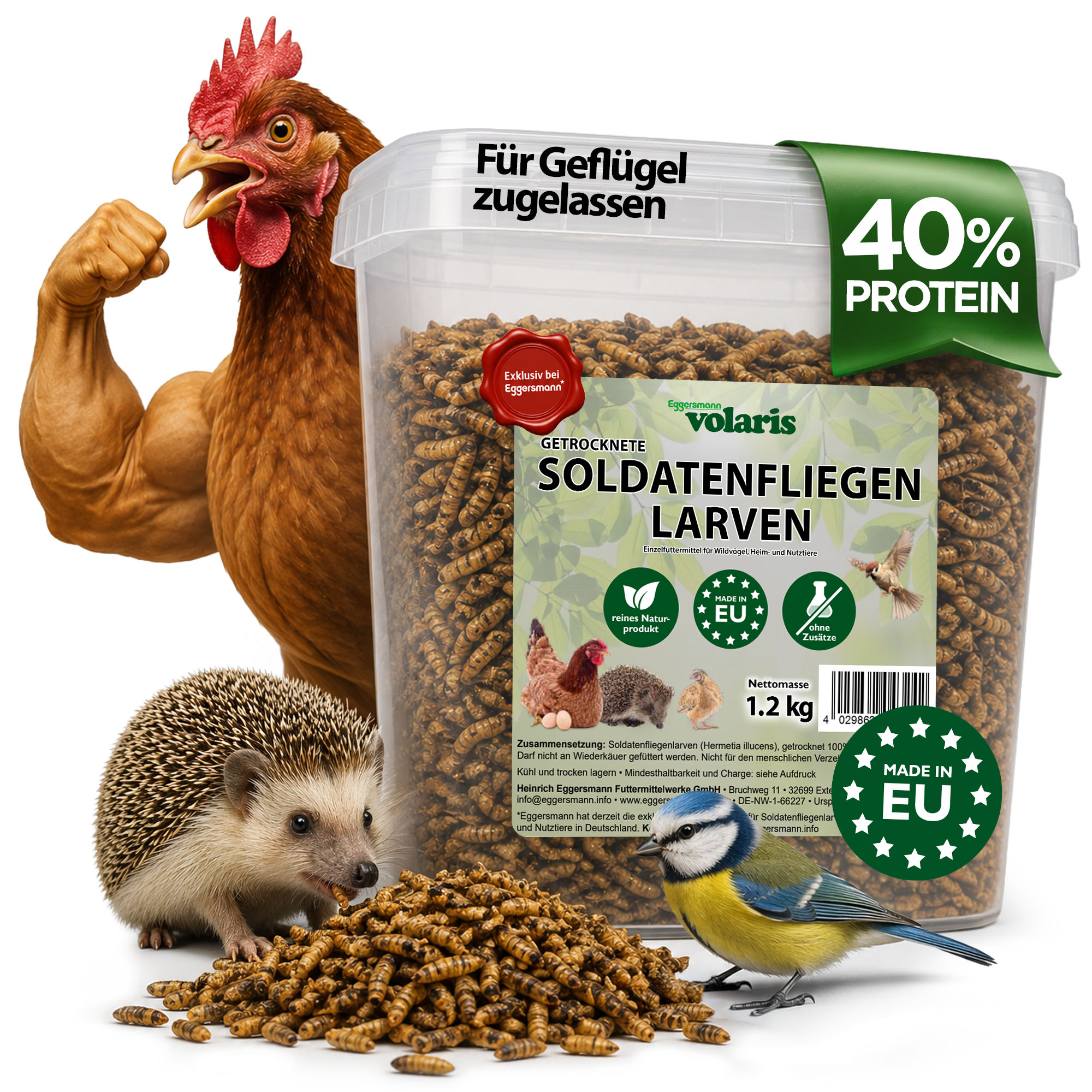 volaris – Black Soldier Fly Larvae 1,2 kg / 4  L