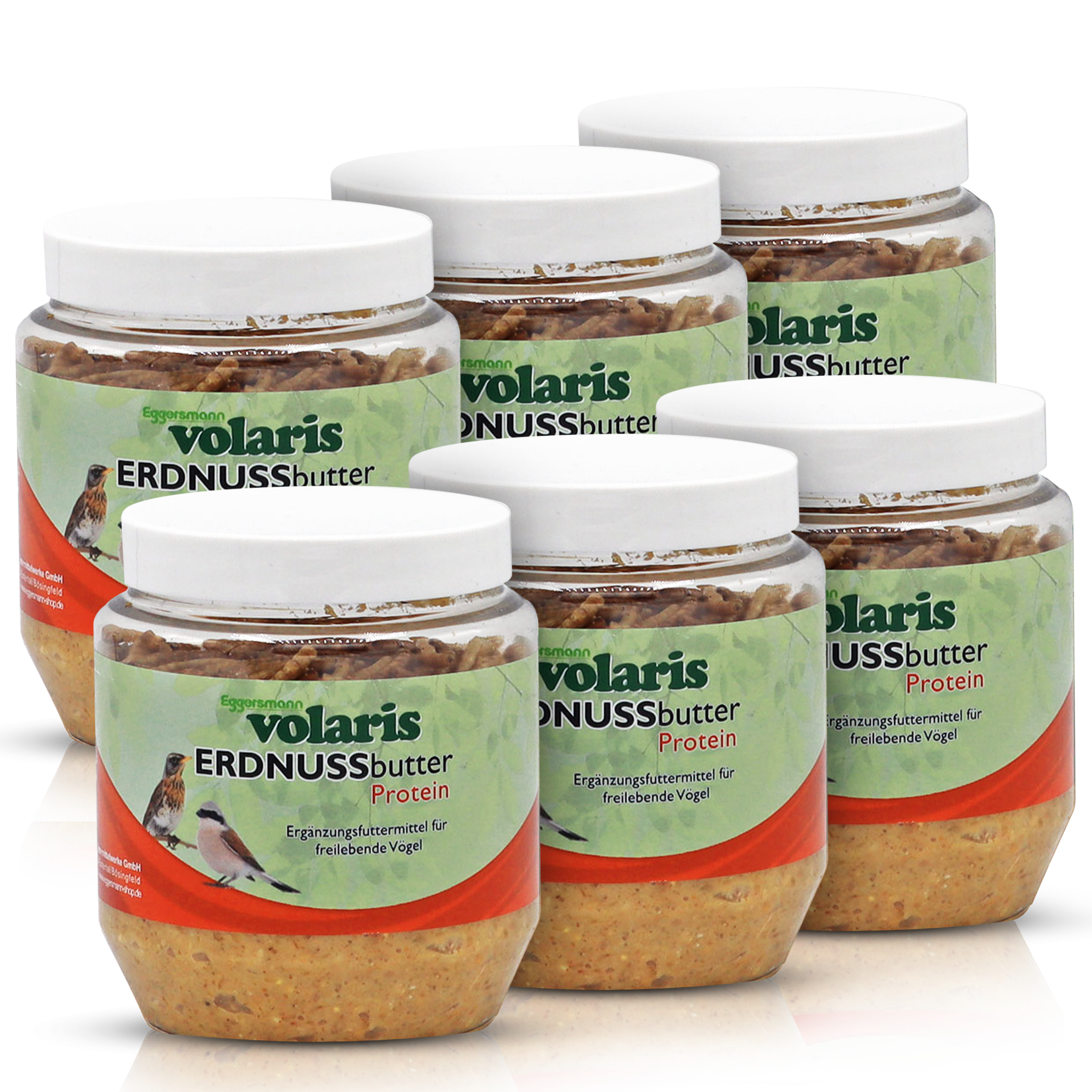volaris - Erdnussbutter mit Insekten 6 x 350 g Dose