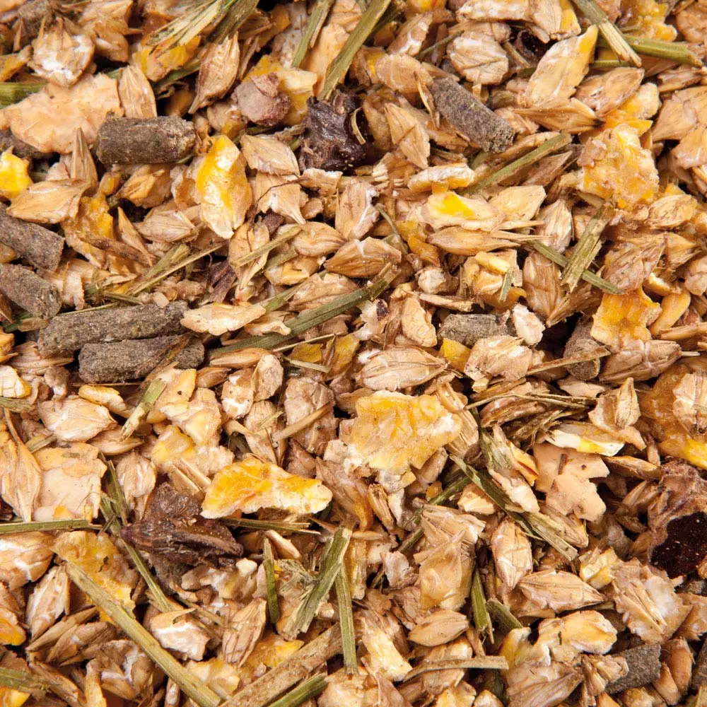 EMH Senior Müsli Big Bag